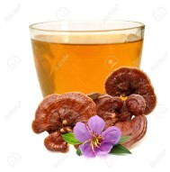 (IJCH) Experimenting with Reishi (Ganoderma) Tea (It is AWESOME!)