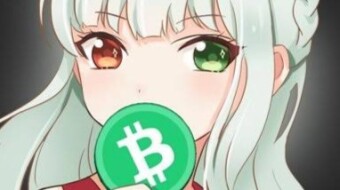 Is too late to save BCH