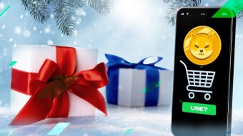 Who's a good boy? Shiba Inu price jumps as Newegg officially accepts meme coin