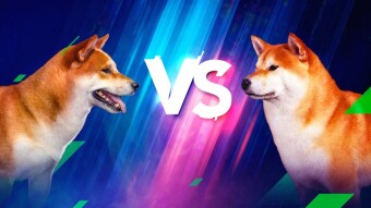 SHIB vs DOGE: which dog to back in this fight?