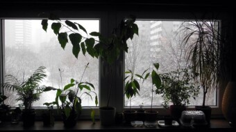 And outside the window there's a storm - My Actifit Report Card: February 3 2023