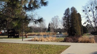Another sunny and relatively warm day and my temperature is 38 degrees. - My Actifit Report Card: March 1 2023
