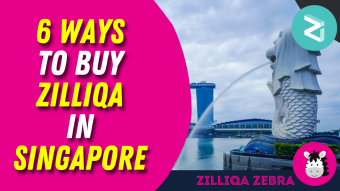 6 Ways to Buy Zilliqa in Singapore