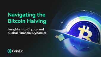 Explorando la descentralización de Bitcoin a través del Halving: Perspectivas sobre las criptomonedas y las dinámicas financieras globales
