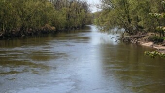 Weekend Nature Walk: Following the River