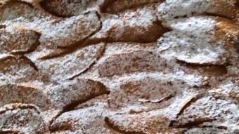 Foodbook #642 easy apple pie
