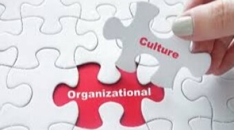 Organizational Culture: a Six Sigma success driver