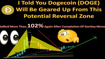 I Told You Dogecoin (DOGE) Will Be Geared Up From This Potential Reversal Zone