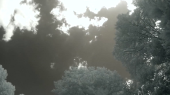 Clouds forming overhead - Infrared Time lapse Video