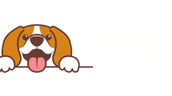 Beagle Finance: Decentralized Finance for Everybody by Everybody!