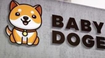 What Is Babydoge