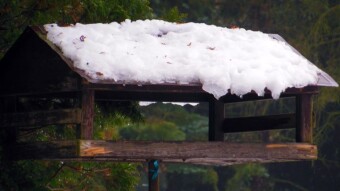 Not very nice Monday, thaw and splash - My Actifit Report Card: January 23 2023