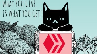 On the Hive blockchain what you give is what you get
