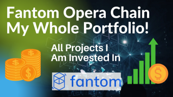 My Whole Fantom Portfolio - And Where I Am GROWING IT!