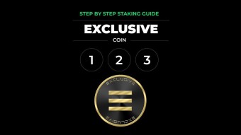 [French] Exclusive Coin (EXCL) - Guide de Staking