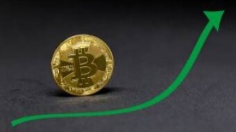 Bitcoin will behave like gold in 2008, says Willy Woo