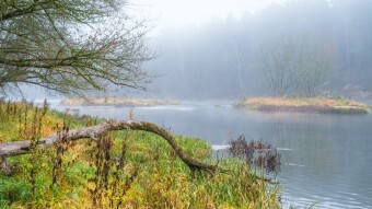 Foggy morning by the river in Vilnius, Lithuania