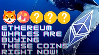 Guess what coins Ethereum whales are snaping up??