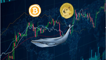 What are Bitcoin Whales?