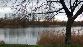 Heat records in February, a beautiful walking Monday -  My Actifit Report Card: February 26 2024