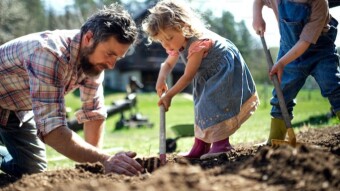 "The Pleasures of Gardening: A Rewarding Hobby for Physical and Mental Health"
