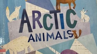“Arctic Animals”