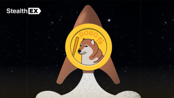 DogeBonk DOBO Crypto Coin Review: How To Buy DOBO Coin, DogeBonk Price Prediction, News, And Prospects