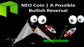 NEO Coin | A Possible Bullish Reversal