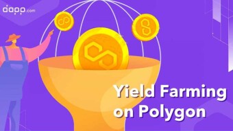 👩‍🌾 How to Do Yield Farming on Polygon?