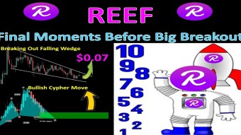 REEF Token | Final Moments Before Big Breakout