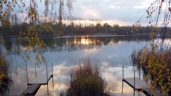 It warmed up quite much and finally there was more sun - My Actifit Report Card: November 15 2024
