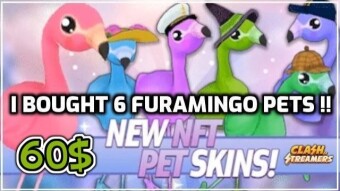 Clash Of Streamers | Reasons I Bought 6 Furamingo Pets!
