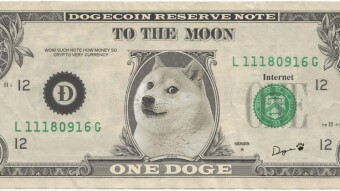DOGE is the new US Dollar