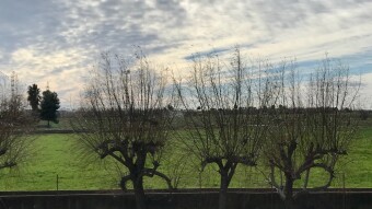 10 km to see a green field and Back
