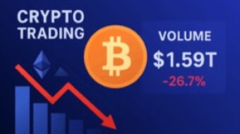 Global Crypto Trading Activity Slumps in November