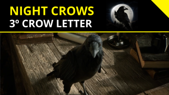 Night Crows 🌘| 3rd Crow Letter - What’s Coming? [EN/PT]