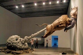 Bull is Back but be aware