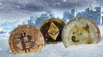 How to Survive Crypto Winter