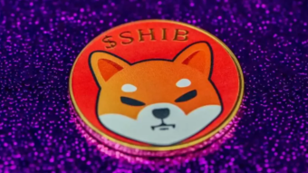 Shibu Inu - A ShitCoin with Potential?