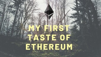 My First Taste of Ethereum