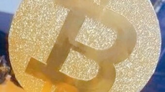 Cryptocurrency didn’t work out, I’m returning to work as a waiter