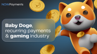 Custodial recurring payments in Baby Doge and the gaming industry