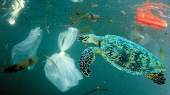 StartEngine Raises That Intrigue Us - April 2024