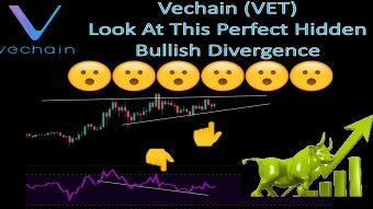 Vechain (VET) Look At This Perfect Hidden Bullish Divergence