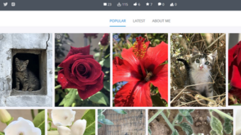 Personal Milestone: My images on Pixabay were downloaded more than 100 times