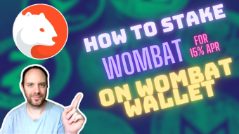 Wombat | Staking | P2E | Play to Earn | Womplay | Tutorial | (earn up to 15% APY)