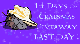 LAST DAY! Free Hermit Crab NFT Giveaway - 14 Days of Crabsmas