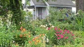 My Home