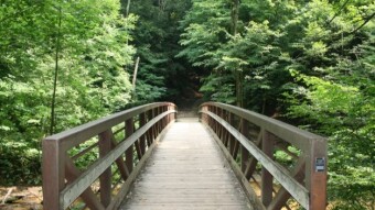 Mushroom Monday - A Weekend Hike along Sand Creek
