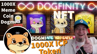 The 1st Dog Meme Coin On The Internet Computer Dogmi Is Set To Explode 1000X